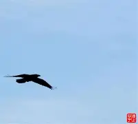 泛亚电竞网页版 -ana一tn00